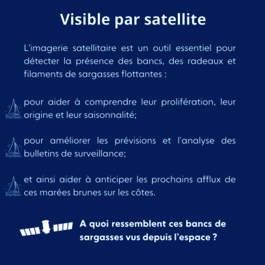 L'imagerie satellitaire est un outil essentiel pour détecter la présence des bancs de sargasses