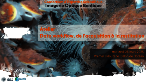 Atelier Data workflow du CES Imagerie Optique Benthique du pôle  Océan ODATIS