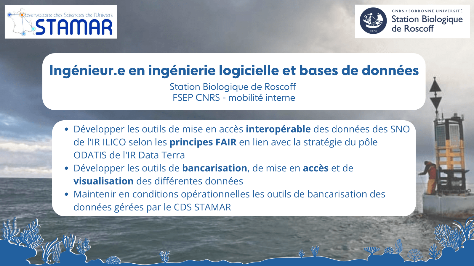 Annonce poste Ingénieur-e en ingénierie logicielle à Roscoff